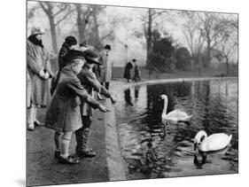 Children Feeding the Swans on the Serpentine, London, 1926-1927-null-Mounted Giclee Print