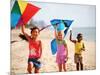 Children Flying Kites on the Beach-Bill Bachmann-Mounted Premium Photographic Print