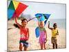 Children Flying Kites on the Beach-Bill Bachmann-Mounted Photographic Print
