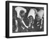 Children Hunting For Shells and Small Animals During Ebb Tide at the Beach-Bernard Hoffman-Framed Photographic Print