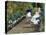 Children in a Garden (The Nurse)-Mary Cassatt-Stretched Canvas