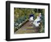 Children in a Garden (The Nurse)-Mary Cassatt-Framed Giclee Print