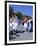 Children in National Dress Carrying Flags, Independence Day Celebrations, Greece-Tony Gervis-Framed Photographic Print