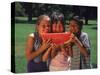 Children in Park Eating Watermelon-Mark Gibson-Stretched Canvas