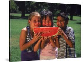 Children in Park Eating Watermelon-Mark Gibson-Stretched Canvas