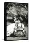 Children Kiss in Toy Car-null-Framed Stretched Canvas