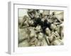 Children Lie in Sludge as a Ritual to Induce Rain in Nari Bari, India-null-Framed Photographic Print