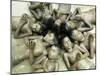 Children Lie in Sludge as a Ritual to Induce Rain in Nari Bari, India-null-Mounted Photographic Print