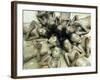 Children Lie in Sludge as a Ritual to Induce Rain in Nari Bari, India-null-Framed Photographic Print