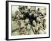Children Lie in Sludge as a Ritual to Induce Rain in Nari Bari, India-null-Framed Photographic Print