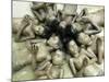 Children Lie in Sludge as a Ritual to Induce Rain in Nari Bari, India-null-Mounted Photographic Print