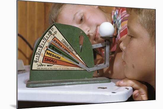 Children Measuring Egg on Scale-William P. Gottlieb-Mounted Photographic Print