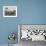 Children of an Immigrant Family from Bolivia Play Soccer at Their House-null-Framed Photographic Print displayed on a wall