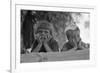 Children of Oklahoma Drought Refugee-Dorothea Lange-Framed Art Print