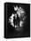 Children of Photographer with Eugene Smith Walking Hand in Hand in Woods Behind His Home-W^ Eugene Smith-Framed Stretched Canvas