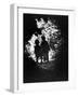 Children of Photographer with Eugene Smith Walking Hand in Hand in Woods Behind His Home-W^ Eugene Smith-Framed Premium Photographic Print