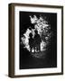 Children of Photographer with Eugene Smith Walking Hand in Hand in Woods Behind His Home-W^ Eugene Smith-Framed Photographic Print