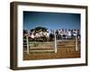 Children of Rancher Tom Hall Lined up on Fence-Loomis Dean-Framed Photographic Print