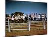 Children of Rancher Tom Hall Lined up on Fence-Loomis Dean-Mounted Photographic Print