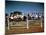 Children of Rancher Tom Hall Lined up on Fence-Loomis Dean-Mounted Photographic Print