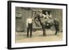 Children on Back of Draft Horse-null-Framed Art Print