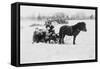 Children on Pony Drawn Sled Photograph-Lantern Press-Framed Stretched Canvas