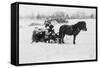 Children on Pony Drawn Sled Photograph-Lantern Press-Framed Stretched Canvas