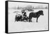 Children on Pony Drawn Sled Photograph-Lantern Press-Framed Stretched Canvas