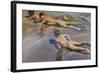 Children on the Beach-Joaquín Sorolla y Bastida-Framed Art Print
