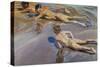 Children on the Beach-Joaquín Sorolla y Bastida-Stretched Canvas