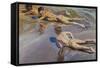 Children on the Beach-Joaquín Sorolla y Bastida-Framed Stretched Canvas