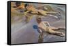 Children on the Beach-Joaquín Sorolla y Bastida-Framed Stretched Canvas