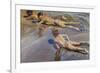 Children on the Beach-Joaquín Sorolla y Bastida-Framed Premium Giclee Print