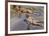 Children on the Beach-Joaquín Sorolla y Bastida-Framed Premium Giclee Print