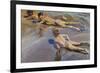 Children on the Beach-Joaquín Sorolla y Bastida-Framed Premium Giclee Print