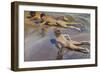 Children on the Beach-Joaquín Sorolla y Bastida-Framed Art Print