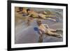 Children on the Beach-Joaquín Sorolla y Bastida-Framed Art Print