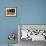 Children Play Soccer at a Shelter in the City Maraba-null-Framed Photographic Print displayed on a wall