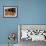 Children Play Soccer at a Shelter in the City Maraba-null-Framed Photographic Print displayed on a wall