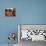 Children Play Soccer Between Tents Placed on a Dusty Lot-null-Stretched Canvas displayed on a wall