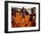 Children Play Soccer Between Tents Placed on a Dusty Lot-null-Framed Photographic Print