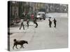 Children Play Soccer on a Deserted Street of Katmandu, Nepal-null-Stretched Canvas