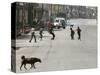 Children Play Soccer on a Deserted Street of Katmandu, Nepal-null-Stretched Canvas