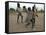 Children Play with Homemade Soccer Balls Made from Discarded Medical Gloves-null-Framed Stretched Canvas