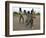 Children Play with Homemade Soccer Balls Made from Discarded Medical Gloves-null-Framed Photographic Print