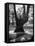 Children Playing and Climbing up Trees-Cornell Capa-Framed Stretched Canvas