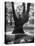 Children Playing and Climbing up Trees-Cornell Capa-Stretched Canvas