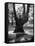 Children Playing and Climbing up Trees-Cornell Capa-Framed Stretched Canvas