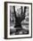 Children Playing and Climbing up Trees-Cornell Capa-Framed Photographic Print