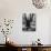 Children Playing and Climbing up Trees-Cornell Capa-Photographic Print displayed on a wall